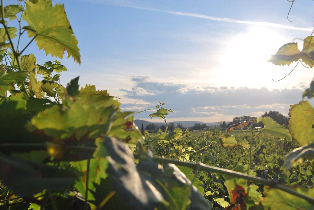 Logis Hotel Du Haut-Bugey Oyonnax Eksteriør bilde